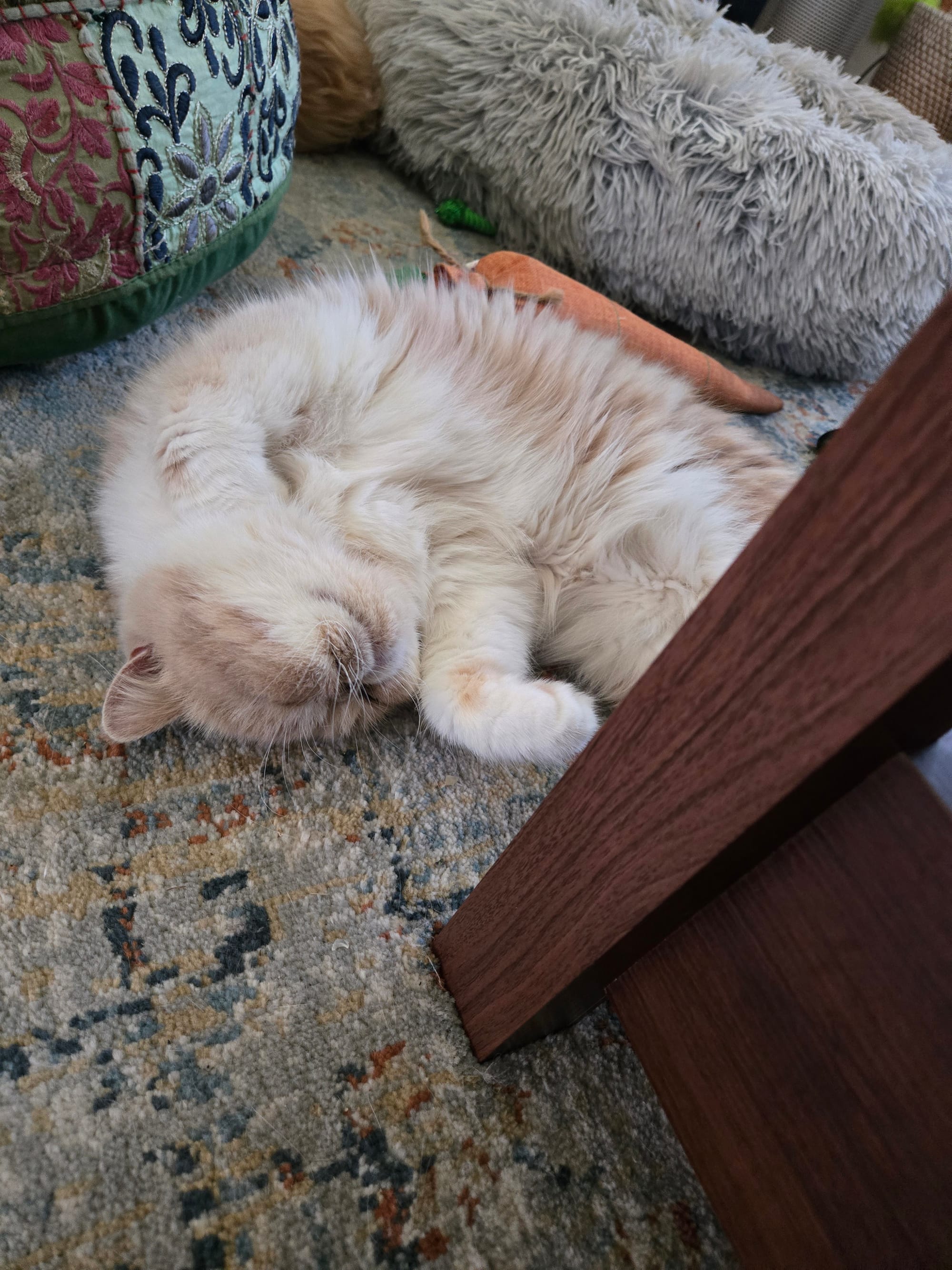 A Soul In Progress (Moving Update!)